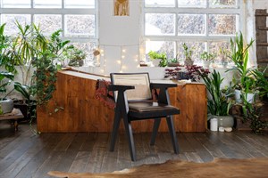 Woodenbend Emily Siyah Kollu Kayın Sandalye – Ahşap Hazeran Detaylı El İşçiliği