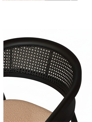 Woodenbend Florida Siyah Ahsap Hazeranlı Sandalye ( 1 Adet )