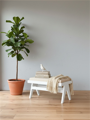 Woodenbend Liya Beyaz Ahşap Bench 94x44x46 cm – Kayın Ağacı Modern İskandinav Oturma Bankı