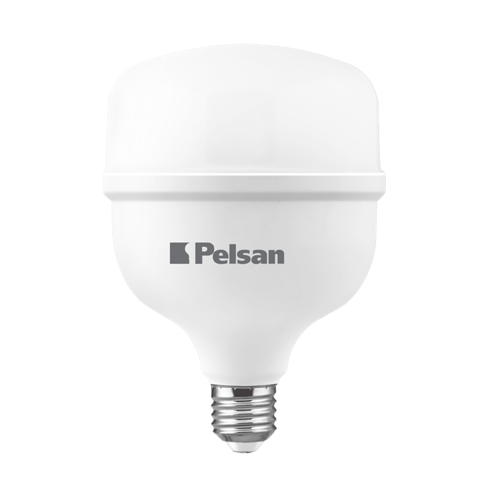 Pelsan 48W 6500K E27