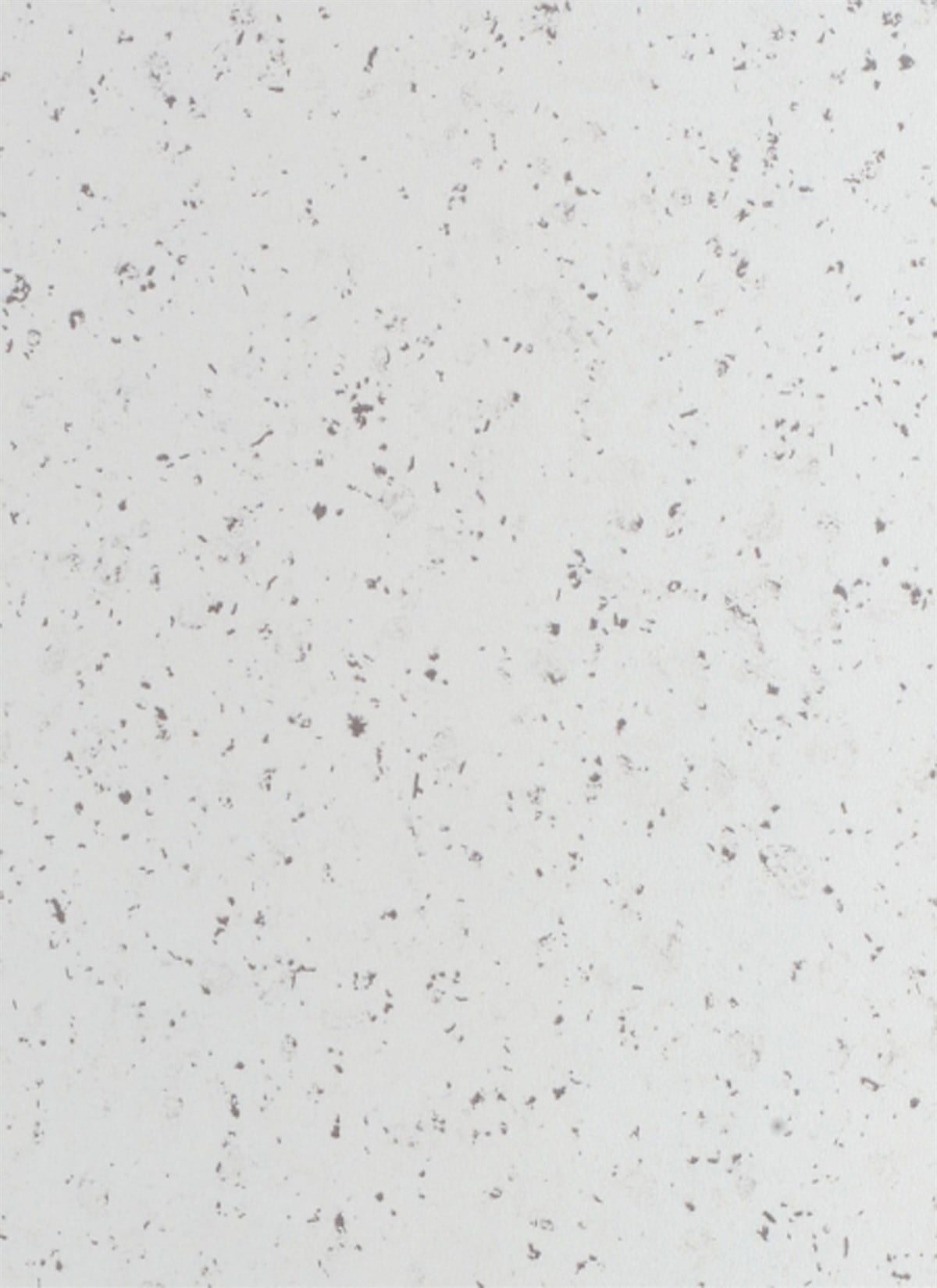 LAMİNANT TEZGAH 201CM BEYAZ