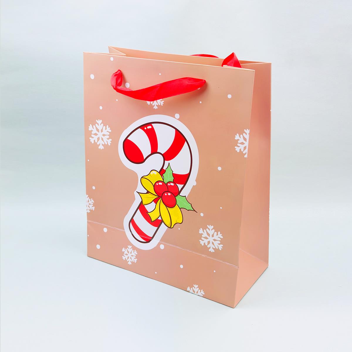 32x26 Yılbaşı Desenli Hediye Çantası X12