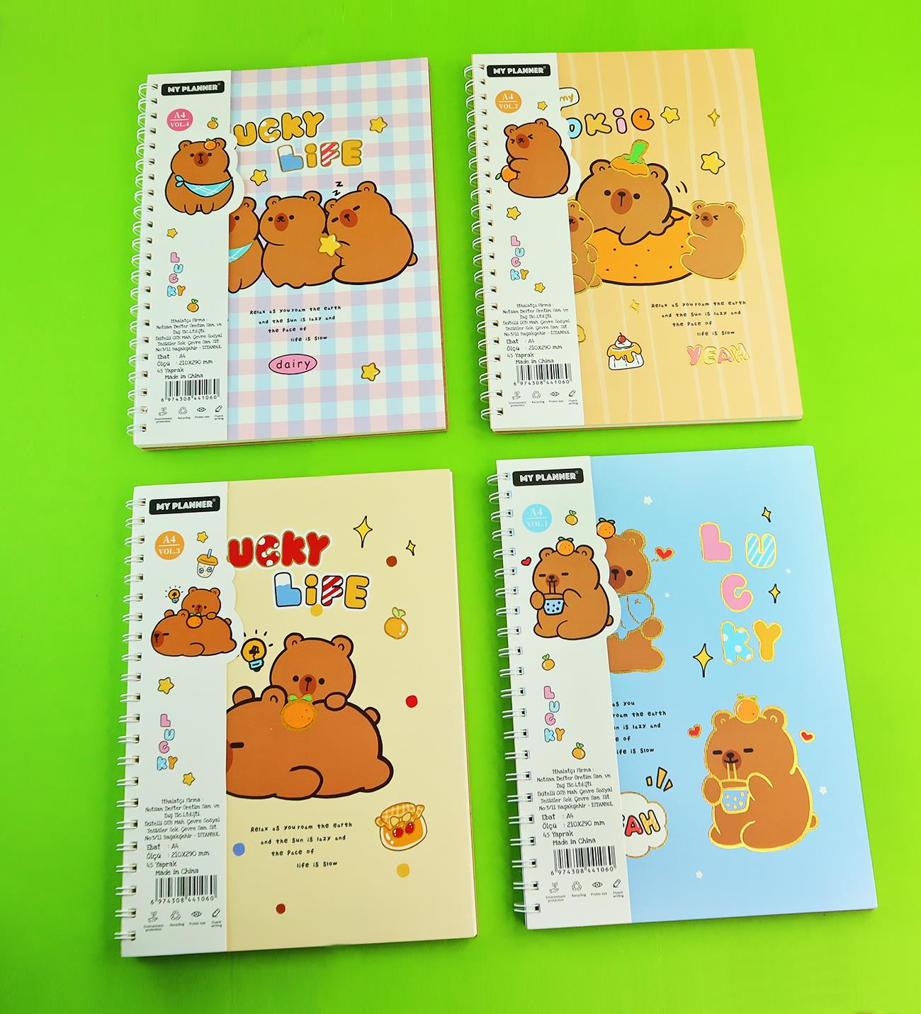 A4 Sketchbook 45 Yaprak 250 Gr x8