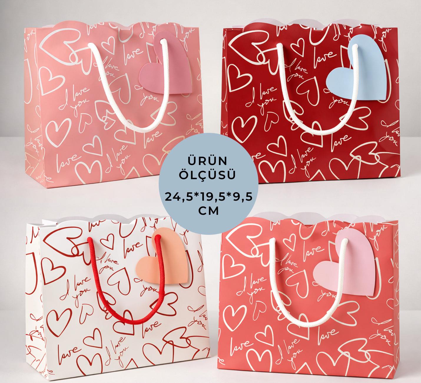 BAM 2304 24,5*19,5*9,5 cm. Karton Çanta X12