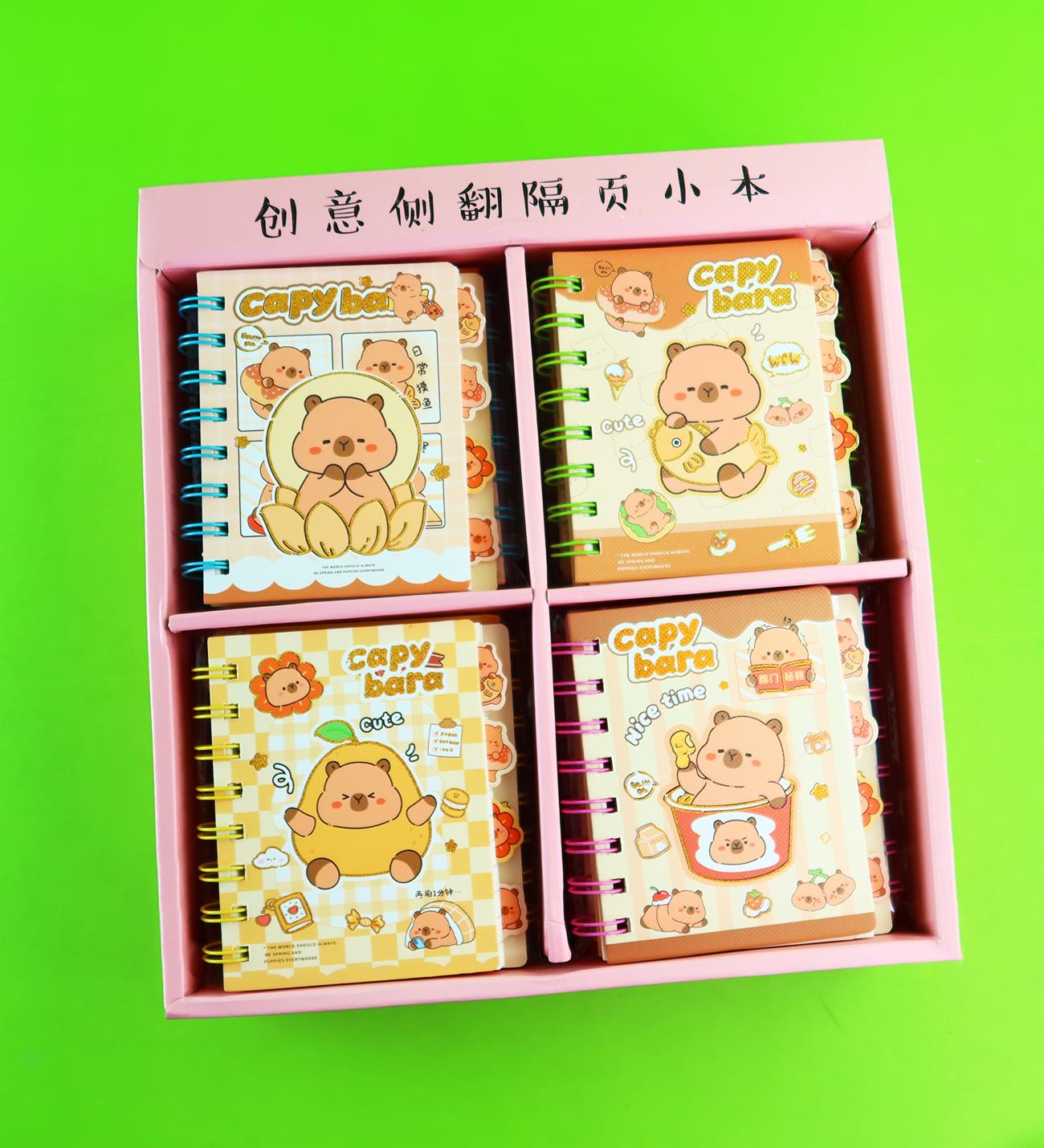 Capybara 4 Bölmeli Çizgili Defter 80 Yaprak x20