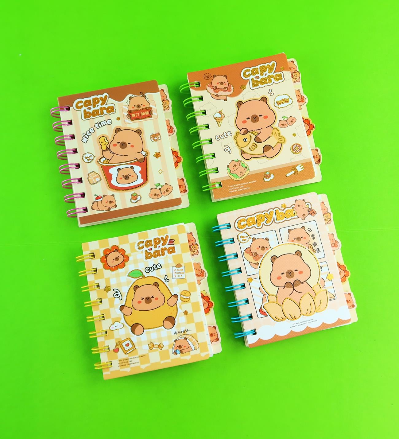Capybara 4 Bölmeli Çizgili Defter 80 Yaprak x24