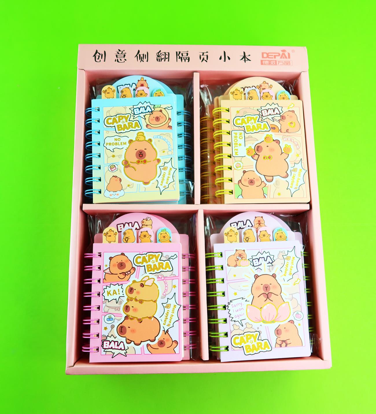 Capybara 4 Bölmeli Çizgili Defter 80 Yaprak x24