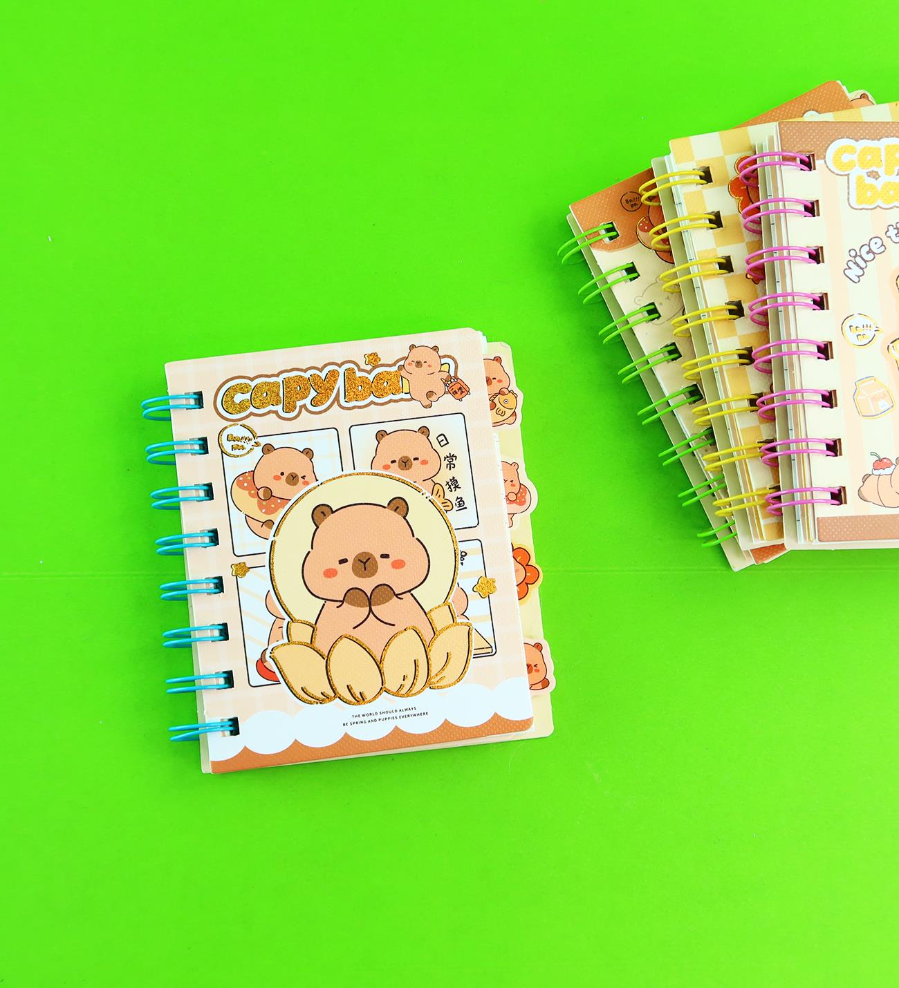 Capybara 4 Bölmeli Çizgili Defter 80 Yaprak x20
