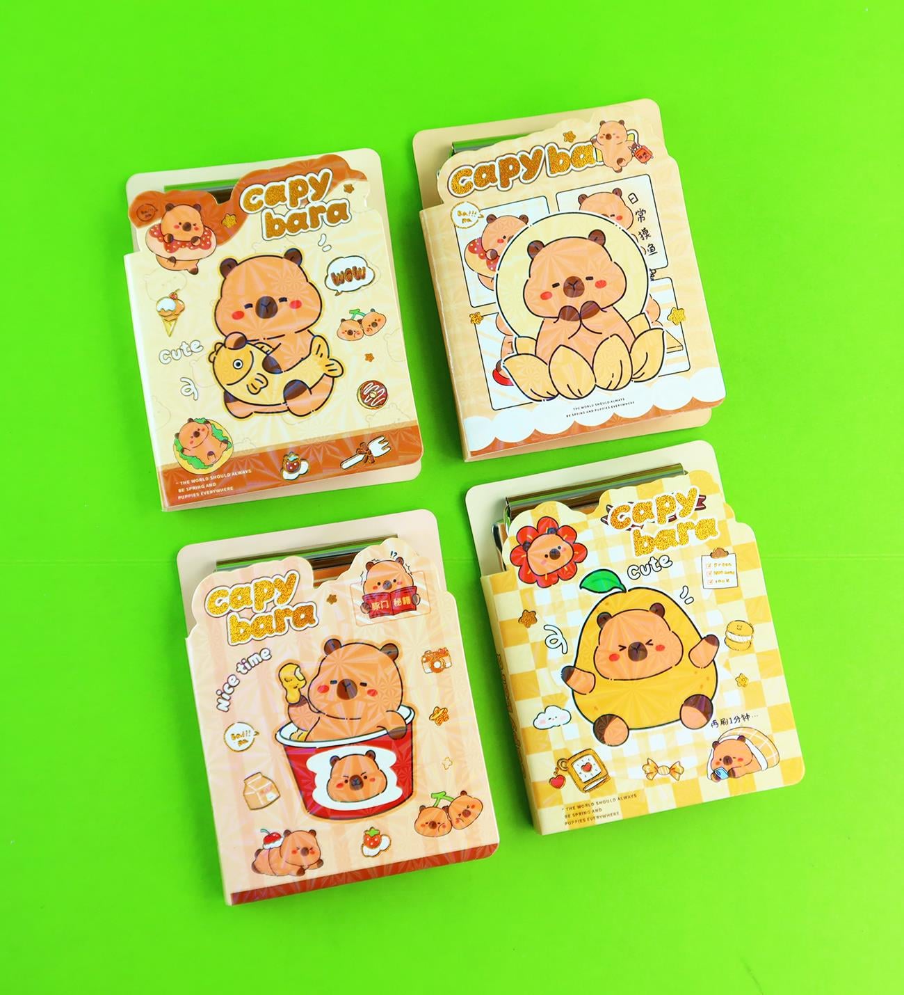 Capybara Sekreterlik Mekanizmalı Dosya Defter x24