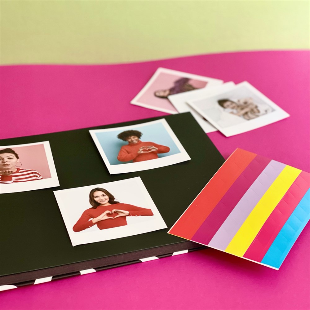 Cow Photo Album w/Stickers