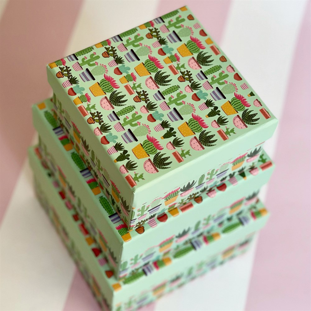 Kaktüs 3 Pcs of Gift Boxes Set