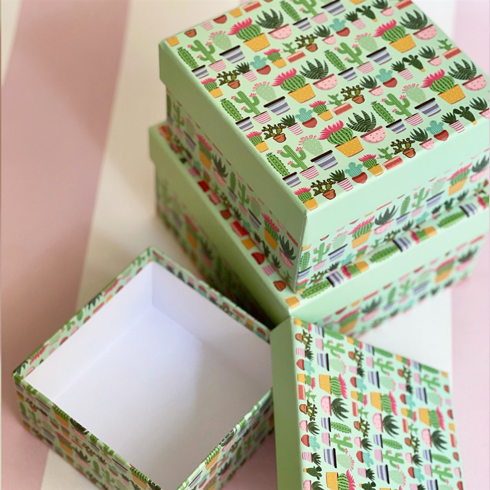 Kaktüs 3 Pcs of Gift Boxes Set