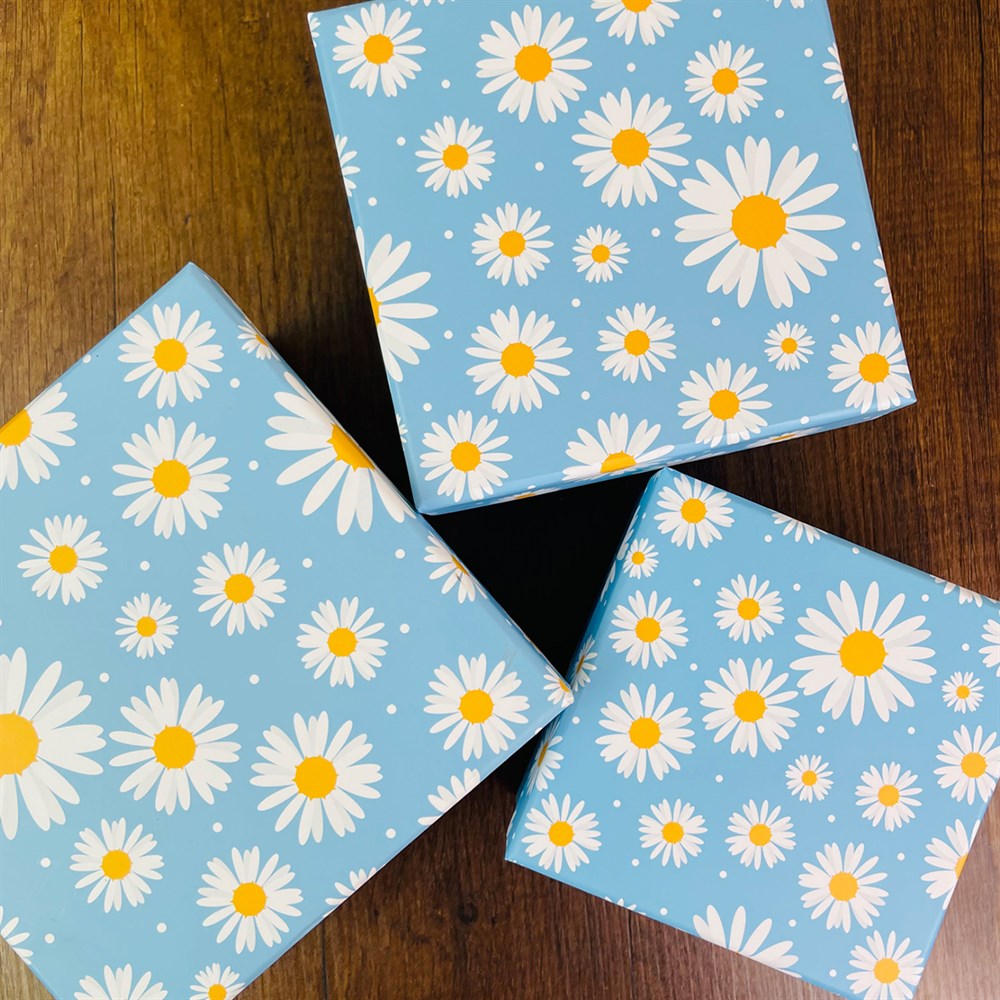 Blue Daisy Gift Box - 3 Pcs Set