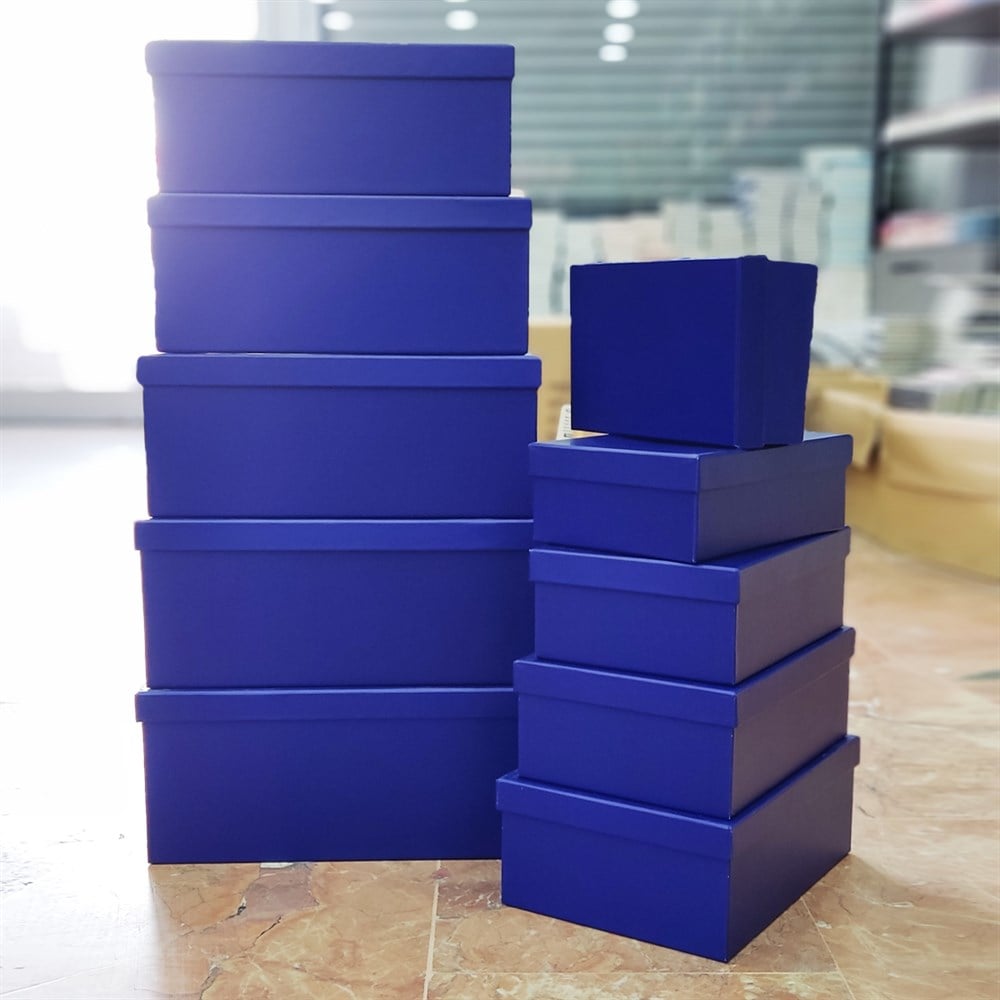 Mavi Renk 10'lu Kutu