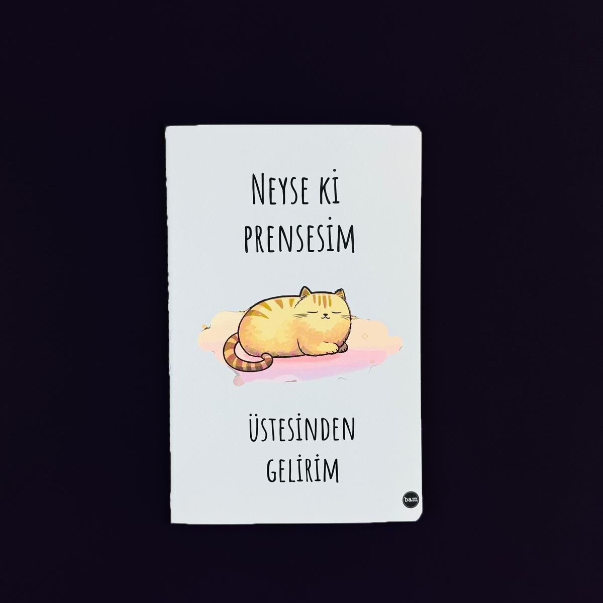 Neyseki Prensesim Terzi Dikişli Defter