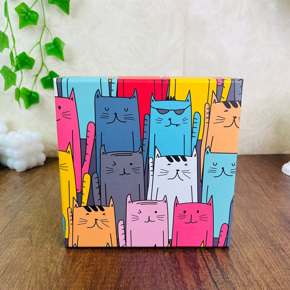 Cute Cat Gift Box - 3 Pcs Set