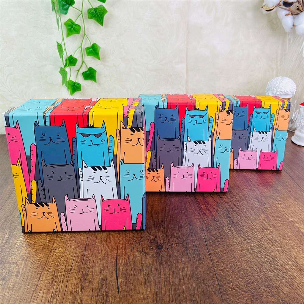 Cute Cat Gift Box - 3 Pcs Set