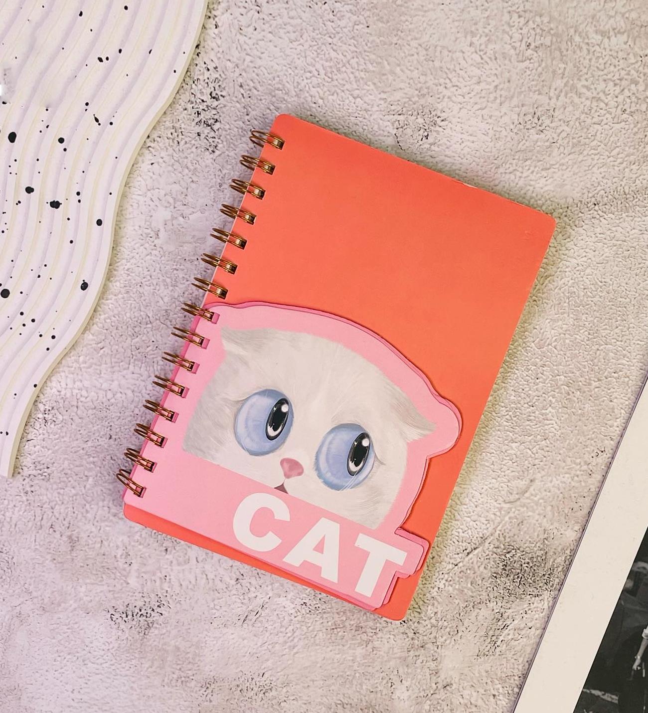 Spiralli Kedi Tasarımlı Defter x12