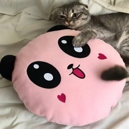 Pembe Peluş Panda Tasarımlı Yastık