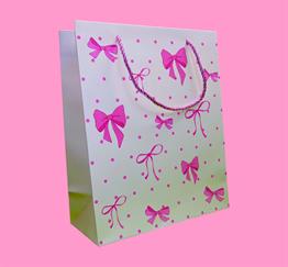Bam 2101 Fiyonk Tasarımlı Karton Çanta 23x18x10 cm x12