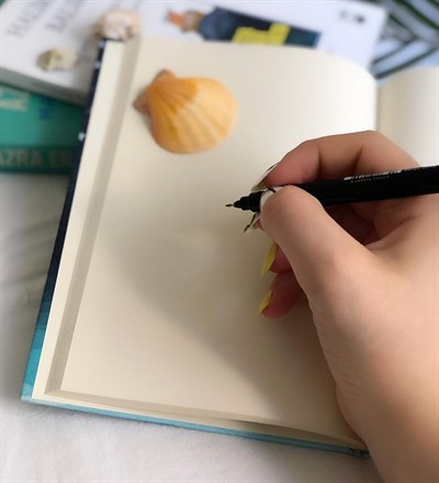Başarabilirsin Mottolu Tasarım Lastikli Defter