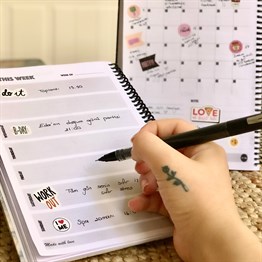 Baykuş Tasarımlı Sert Kapaklı Lastikli Sprelli Tarihsiz Akademik Haftalık Planlayıcı