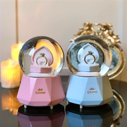 Will You Marry Me Snow Globe