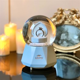 Will You Marry Me Snow Globe