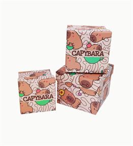 Capybara Mood Tasarımlı 3lü Mini Kutu 