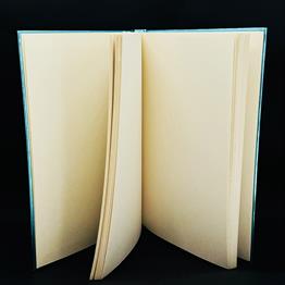Halledicem Ama Hangi Birini Tasarımlı Metal Kapaklı Lastikli Defter