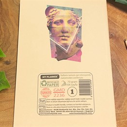 Heykel Art Tasarımlı Geri Dönüşümlü Kraft Defter