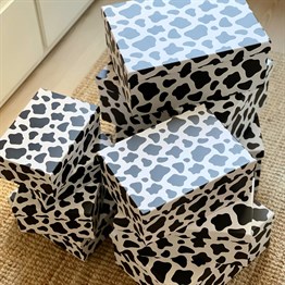 Cow 10 Pcs of Gift Boxes Set