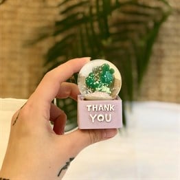 Kaktüs Mini Işıklı Kar Küresi