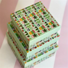 Kaktüs 3 Pcs of Gift Boxes Set