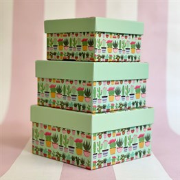 Kaktüs 3 Pcs of Gift Boxes Set