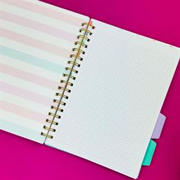 Kedi Tasarımlı 4 Bölmeli Haftalık Planlayıcı Defter