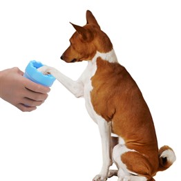 Kedi Ve Köpek Pati Temizleme Aparatı