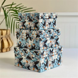 Butterfly Gift Box - 3 Pcs Set