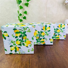 Lemon Gift Box - 3 Pcs Set