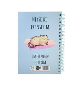 Neyse ki Pensesim Üstesinden Gelirim Konuşan Ajanda