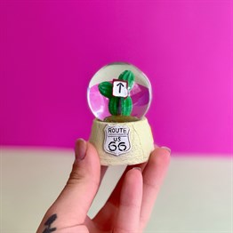 Yönlendirici Kaktüs Mini Kar Küresi