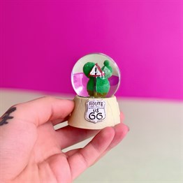 Yönlendirici Kaktüs Mini Kar Küresi
