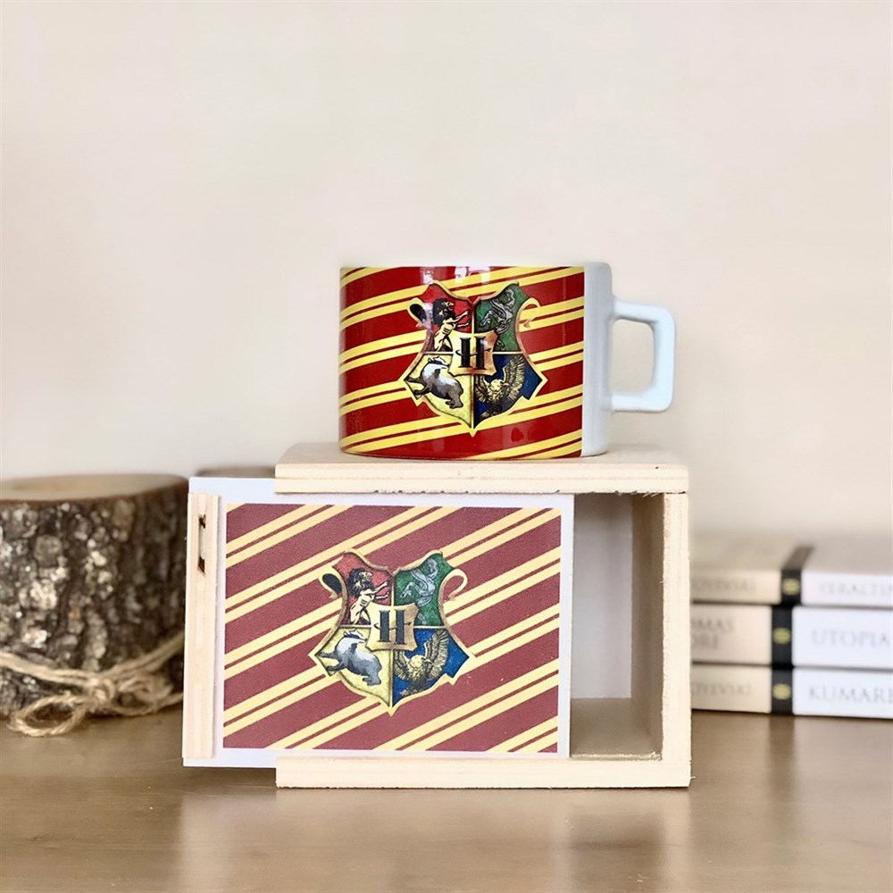  Hogwarts Tasarımlı Kutulu Kupa