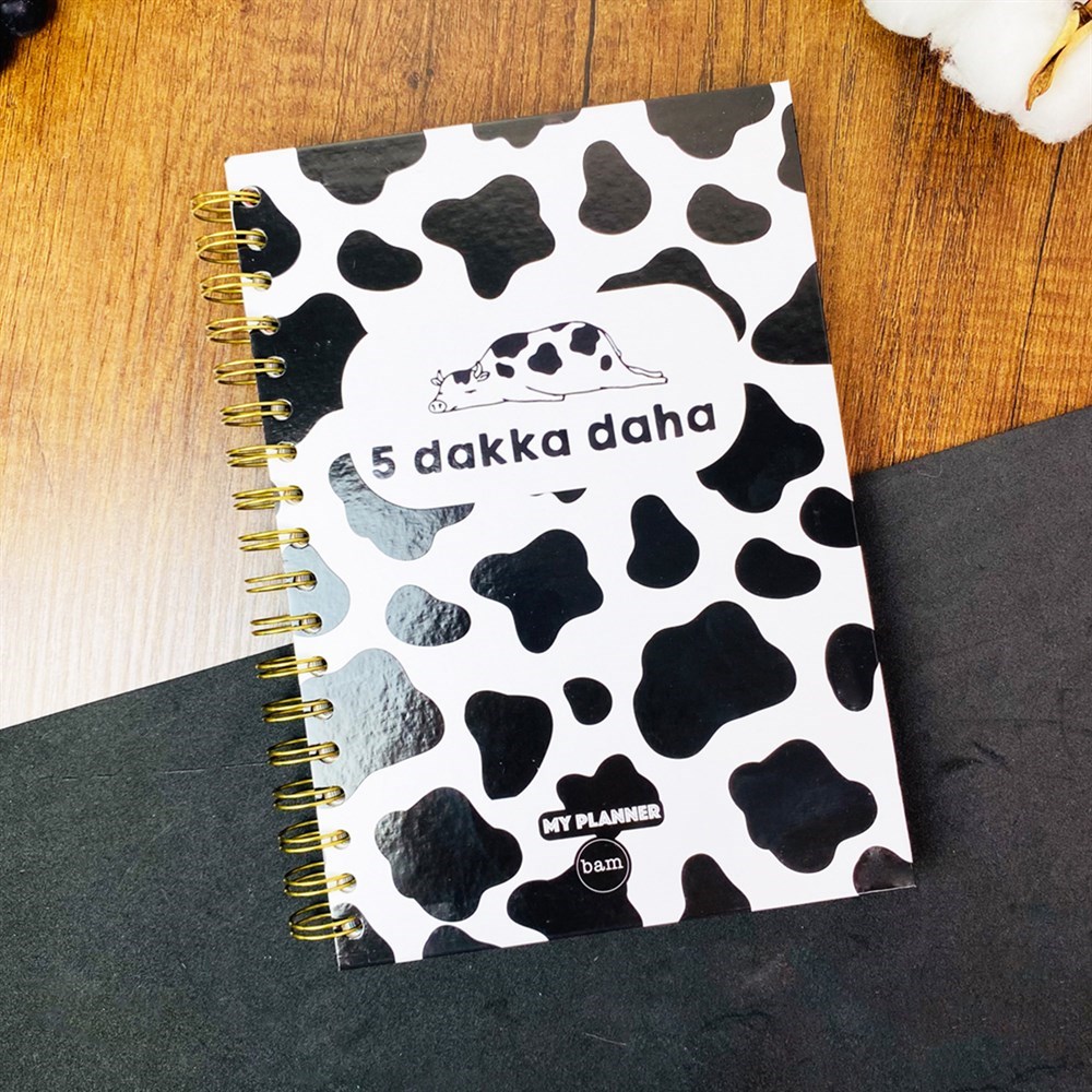 5 Dakka Daha Tasarımlı Çizgili Spiralli Defter 