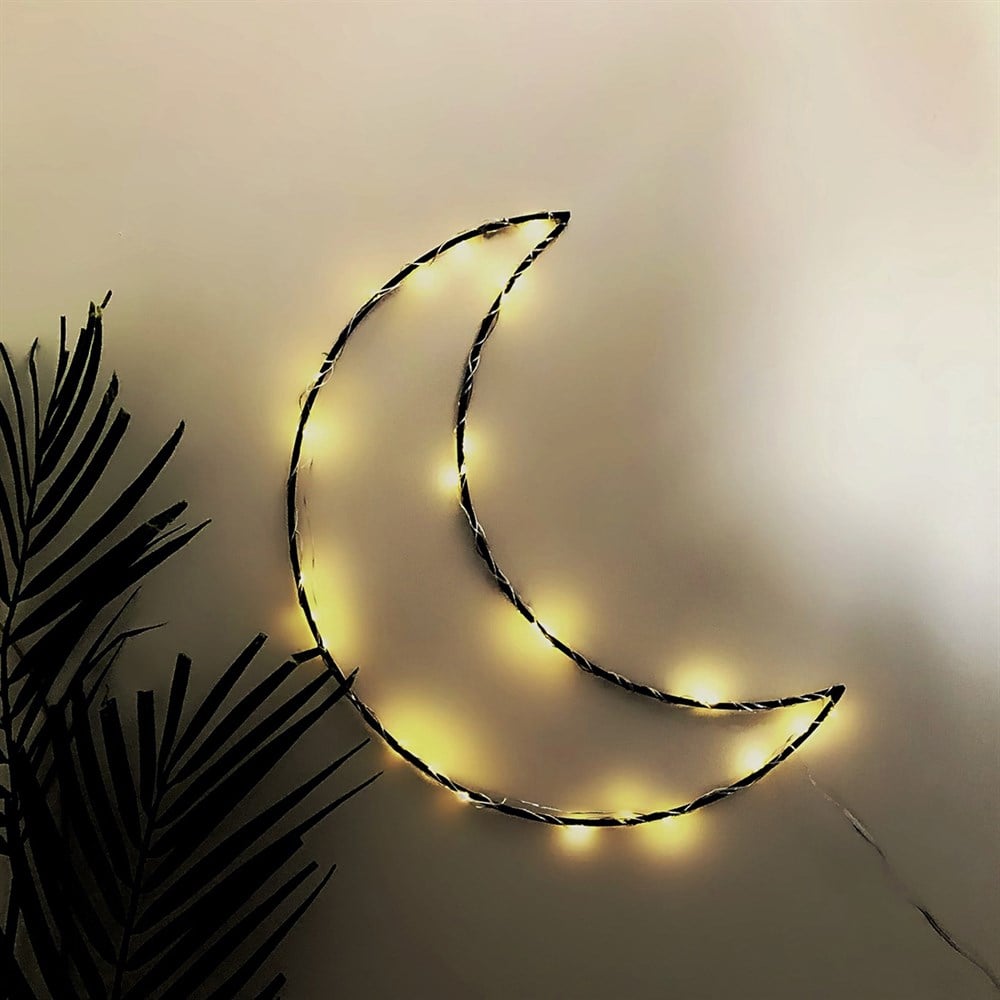 Moon Wire Led Light