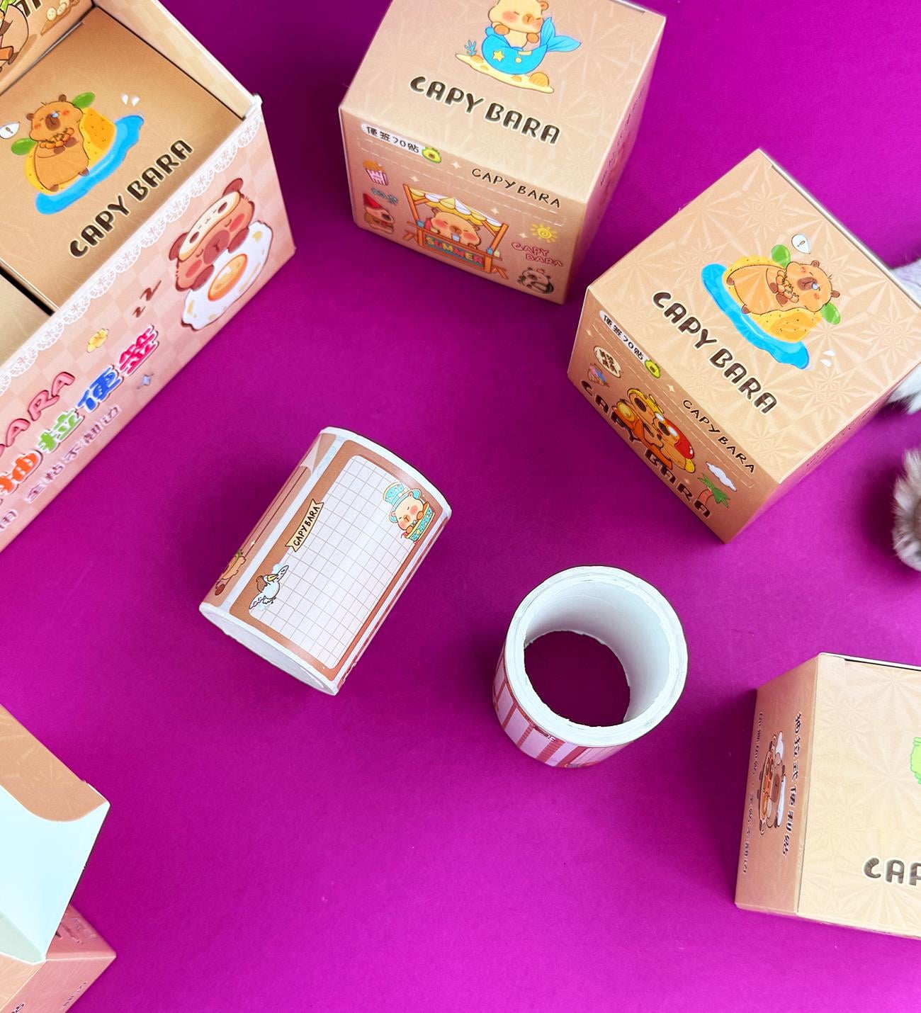 Capybara 10 Adet Defter Etiketi x12 