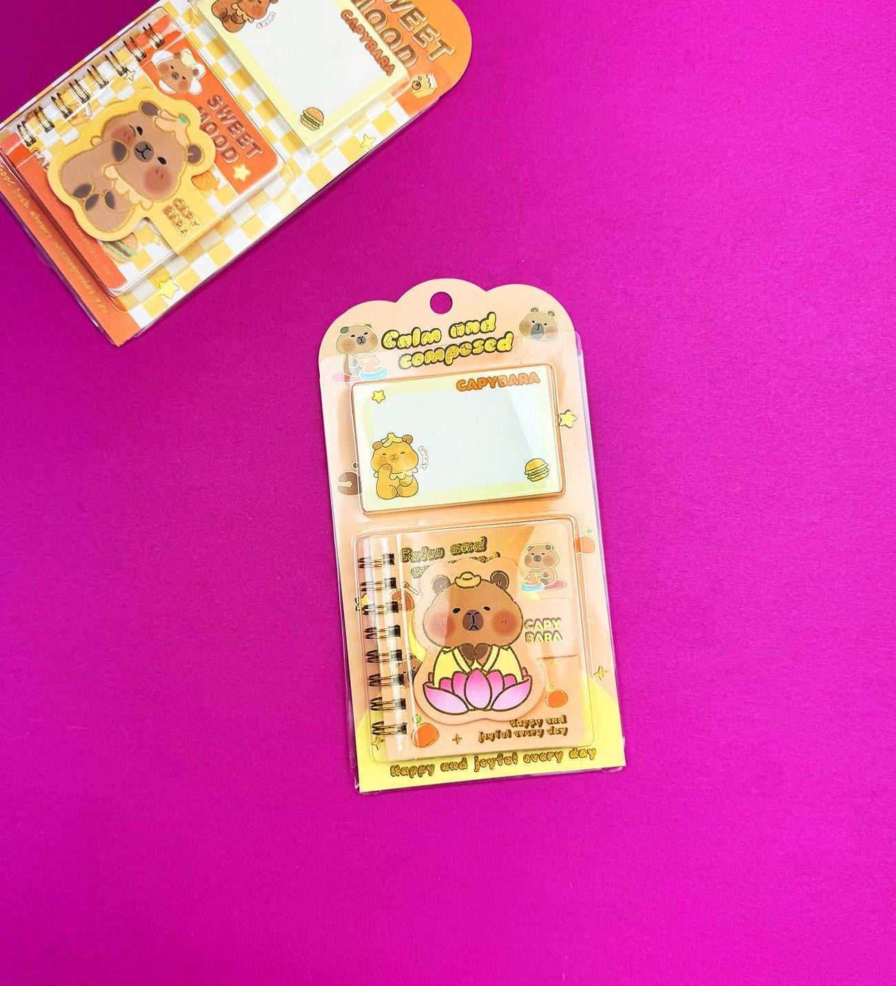 Capybara Notebook x24