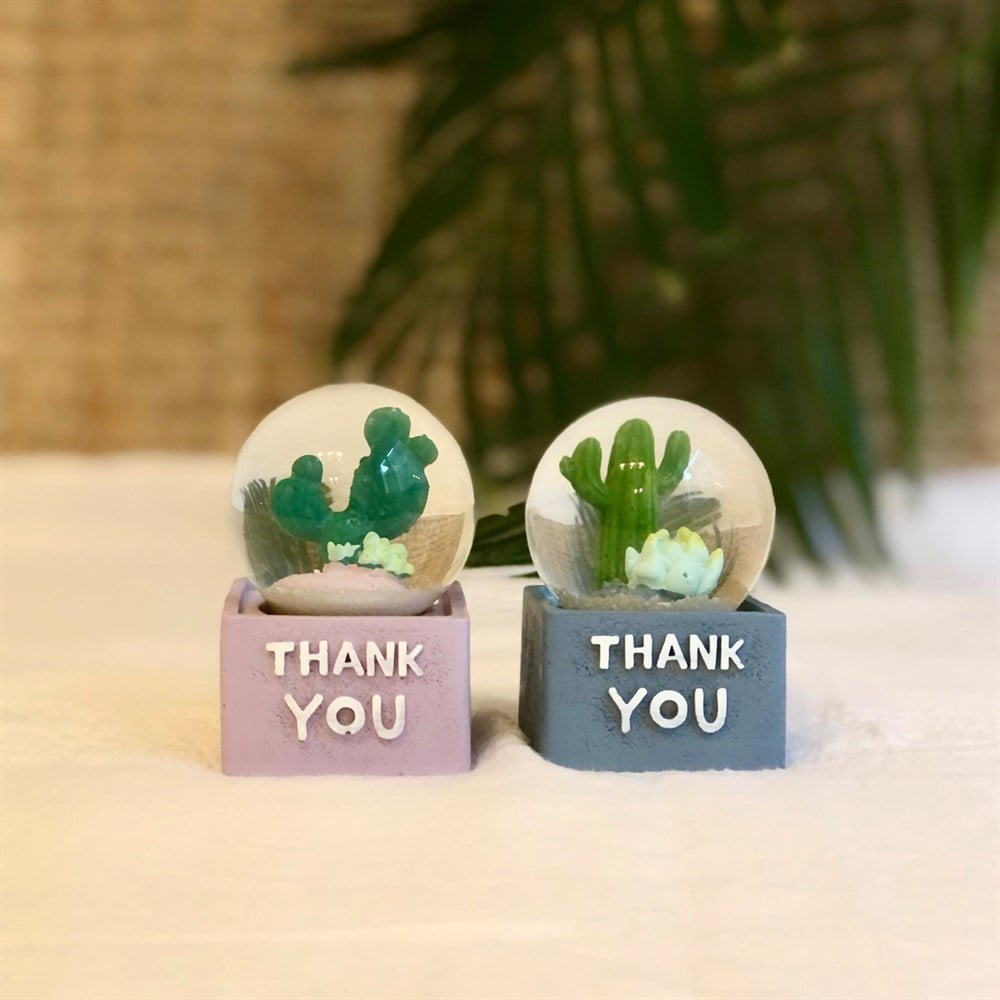 Kaktüs Mini Işıklı Kar Küresi