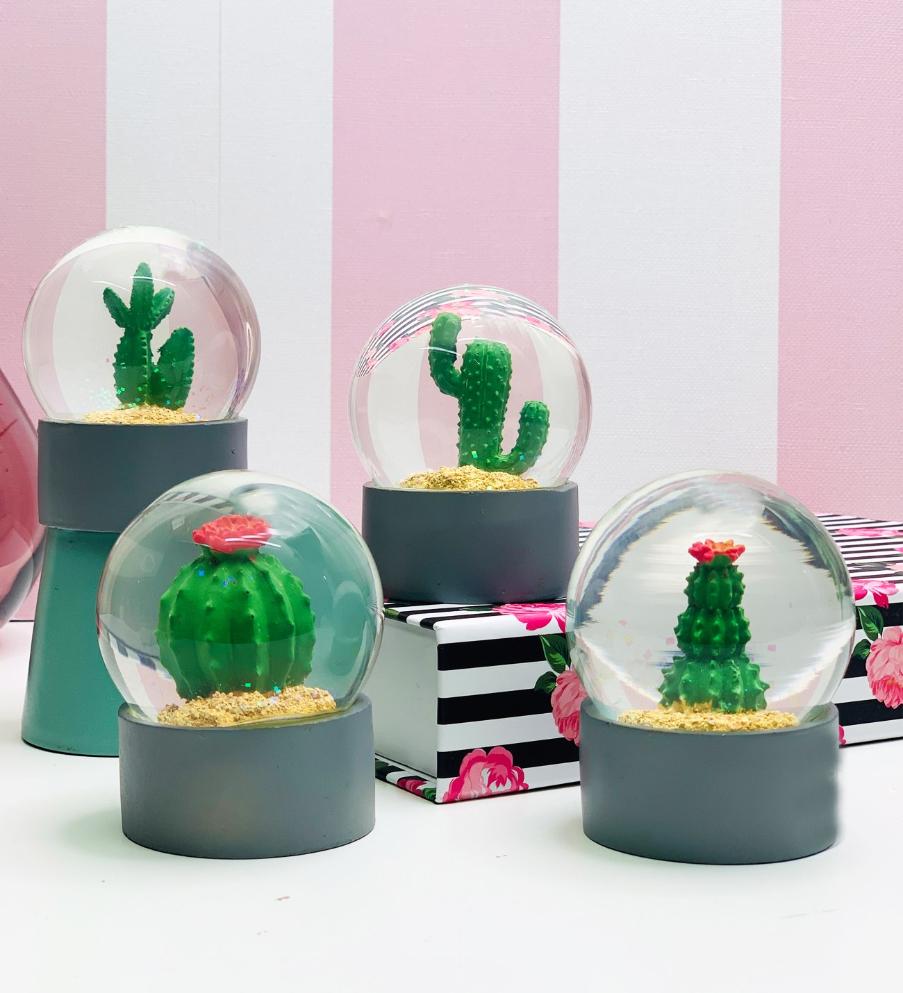 Kaktüs Orta Boy Kar Küresi