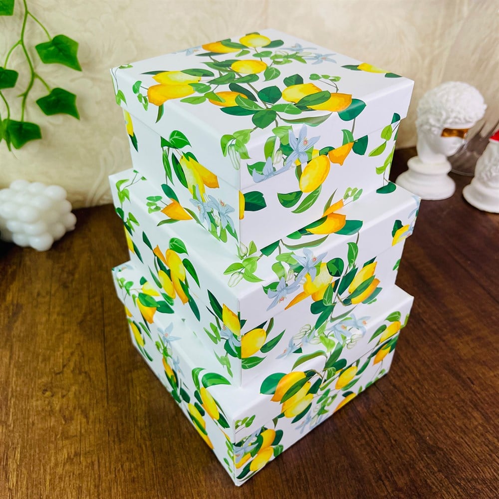 Limon Tasarımlı 3'lü Kutu